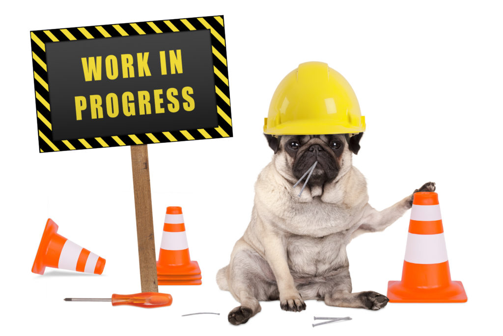 pug dog with constructor safety helmet and yellow and black work